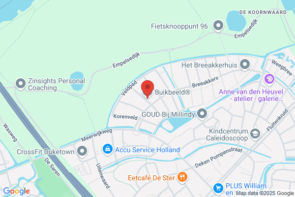 Buikbeeld
