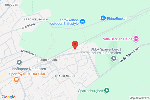 Diesveld, W