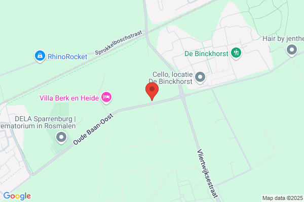 De Vlek
