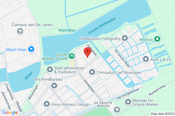 Roelofs, D