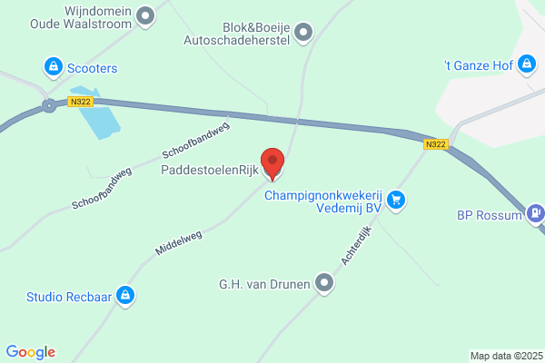 Rijk Paddestoelenkwekerij De