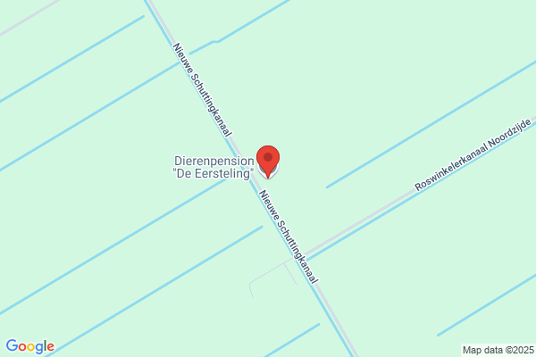 Dierenpension De Eersteling