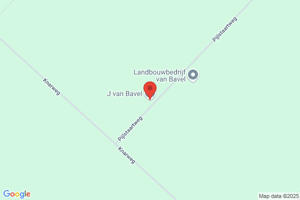 L.J. Van Bavel
