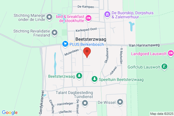 Jan Wouda Sneltekenaar