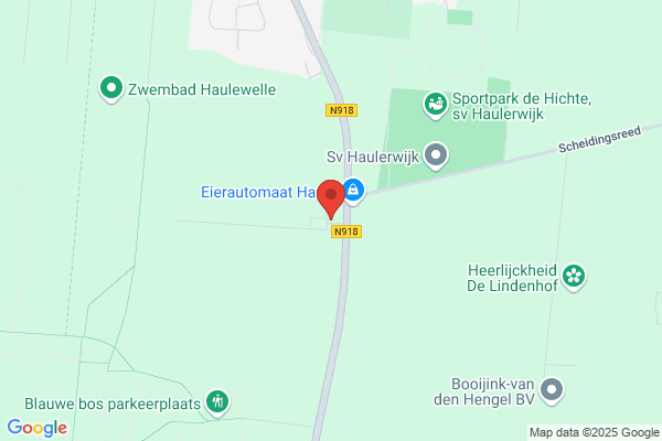 Hattum & De Jong, Van