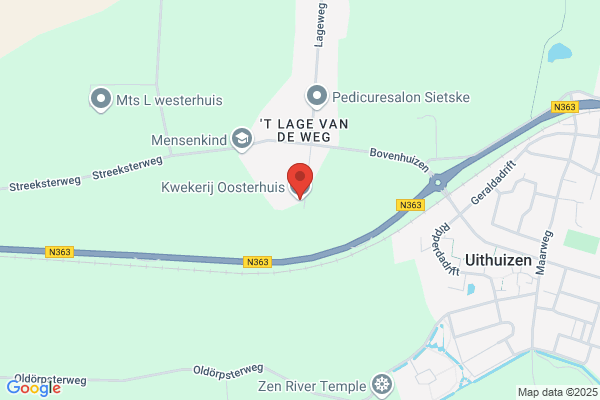 Nieuwenhuyzen Uithuizen, Van