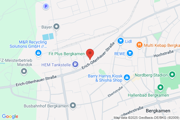 Bevers, De