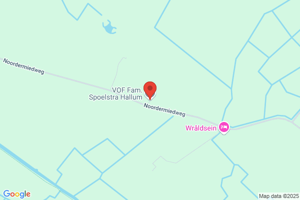 S.M. Spoelstra