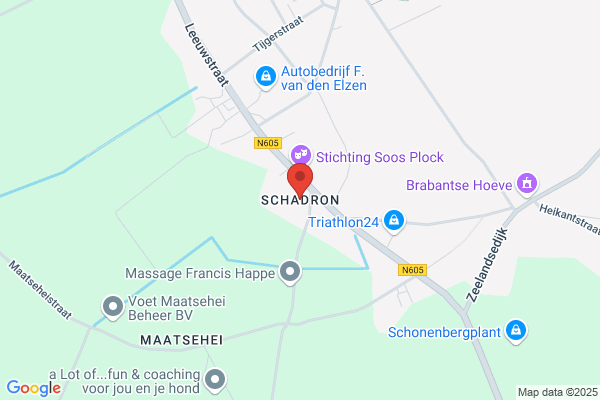 Schadron & Van Eldik