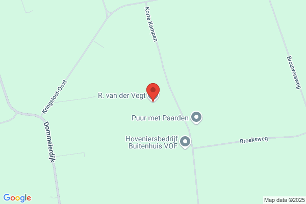Van Der Vegt