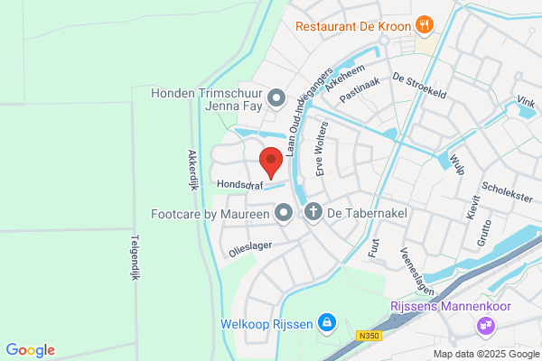 Henny Van Stijn