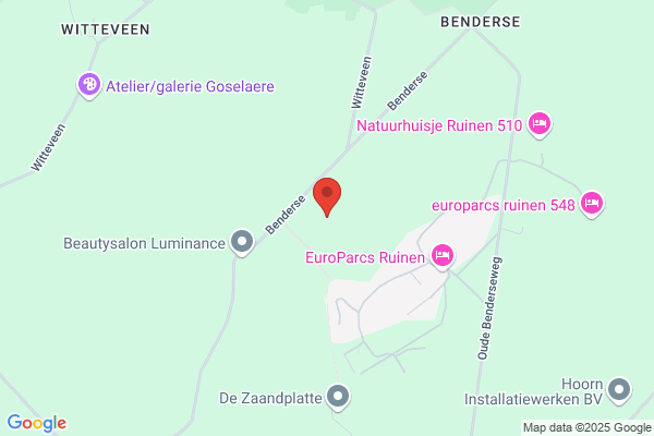 Dommisse