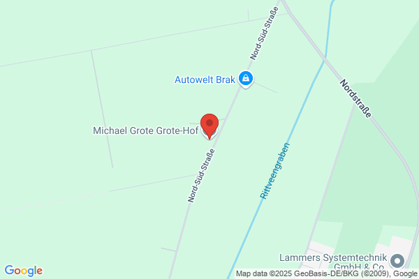 Grote Hendrik, De