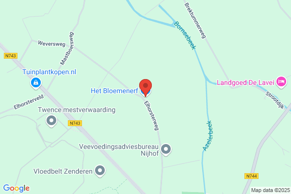 Bloembinderij Lute Poorte