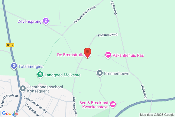Bremstruik, De