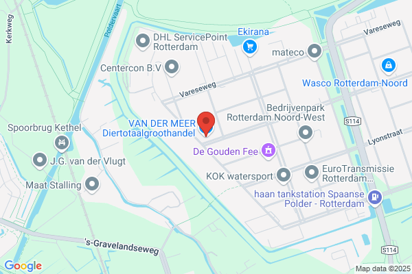 Karelse Van Der Meer