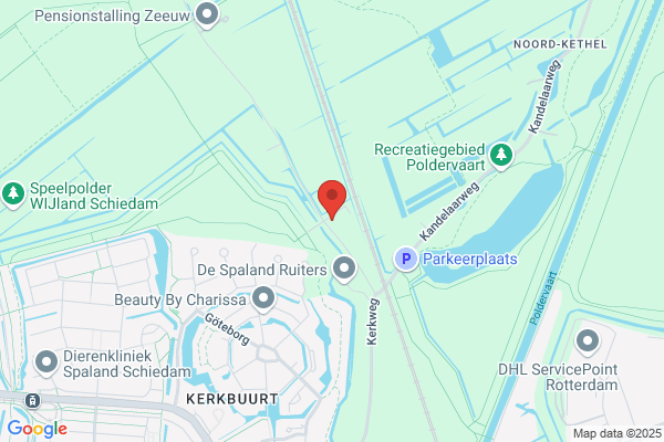 Rijn, Van