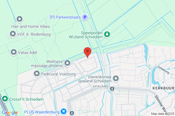 Van Der Weyden Consultants