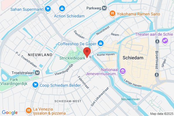 De Vlieger