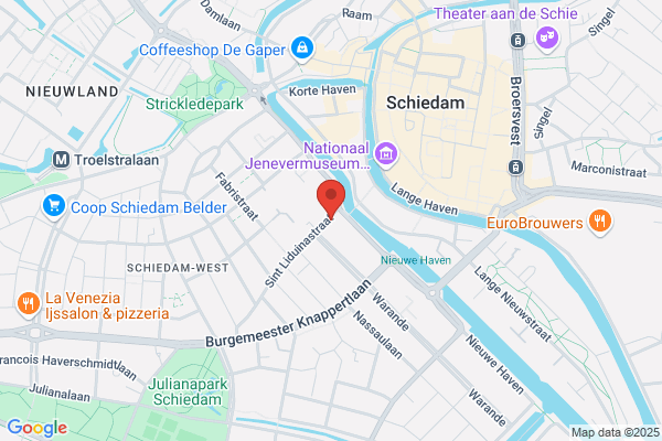 Gouden Kolibrie, De