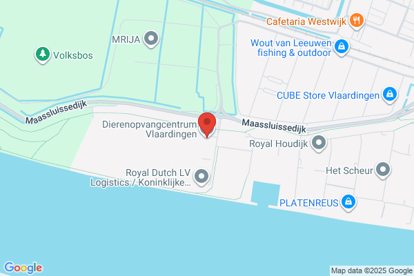 Dierenbescherming Vlaardingen-Maassluis