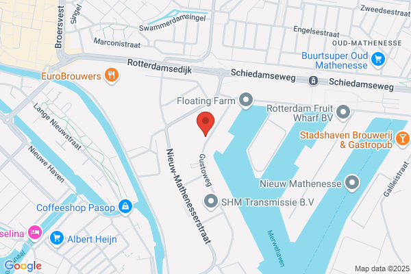 Phoenix & Den Oudsten Bv