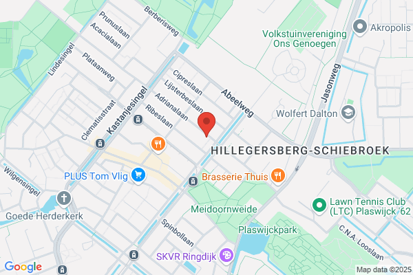 Hofwegen & Van Ommen