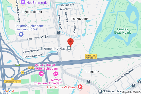 Dolfijn, De