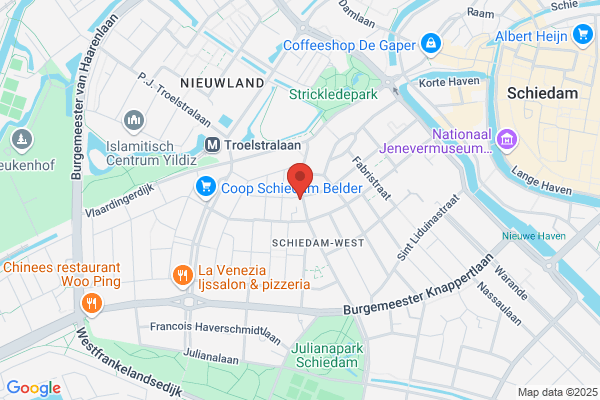Ronaltd/Ronblom Beeldend Kunstenaar