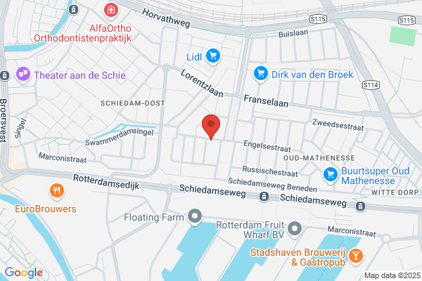 Vast Ned Management Bv