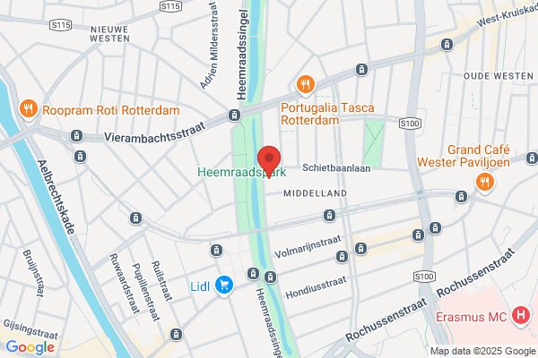 Rotterdam Roots