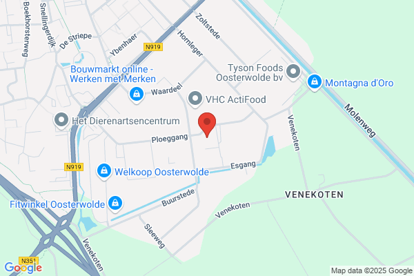 Hollandsche Vlag, De