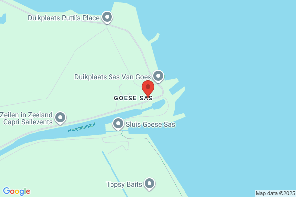 Vissertje, Het