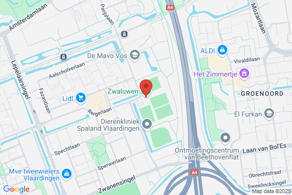 V.V. Zwaluwen
