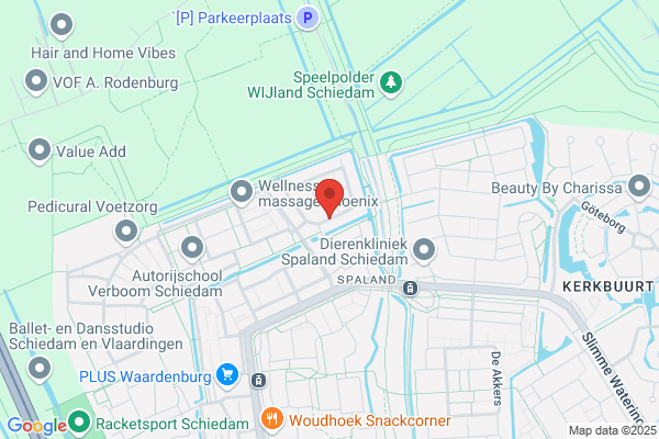 Drs N.P. Stavenuiter-Moerman