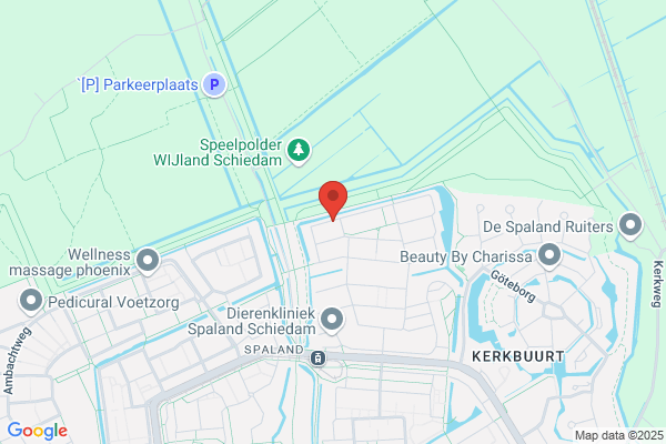Latina Vertalingen
