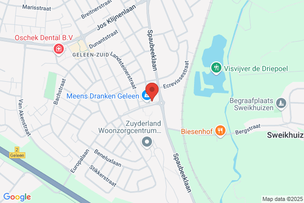 Hochstenbach Tandprotheticus J M G