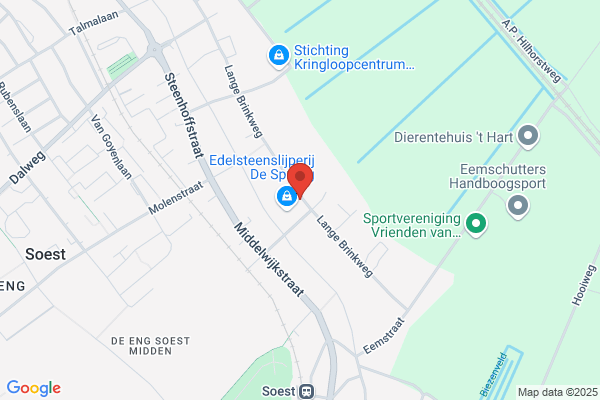 Asselt, Van