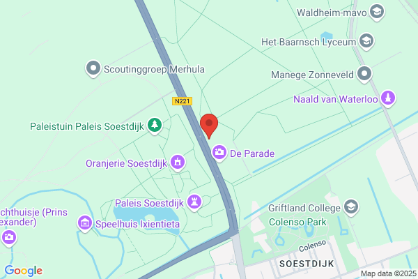 P R Olthof Klassiek Homeopaat