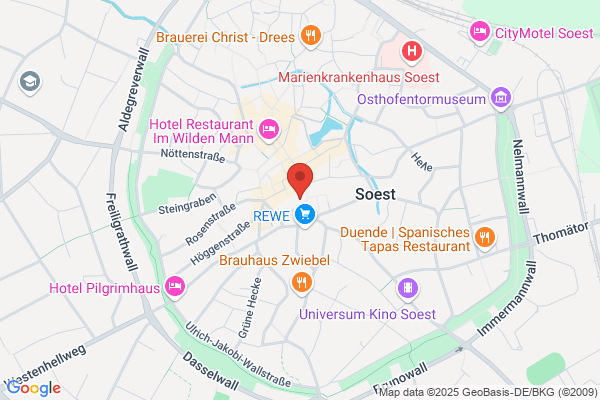 Raad Den Dolder Cv