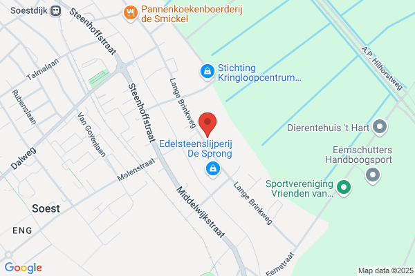 Hilhorst, R P J