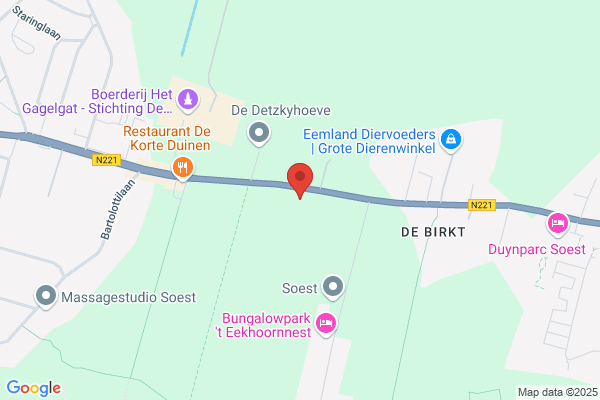 Rietdekkersbedrijf Clemens De Wit