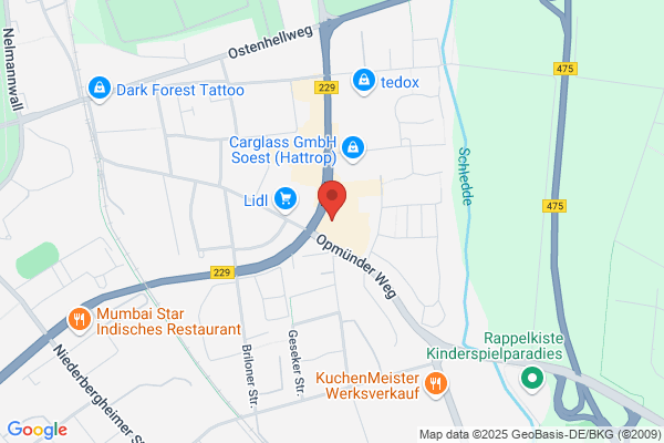 Vis, Cees