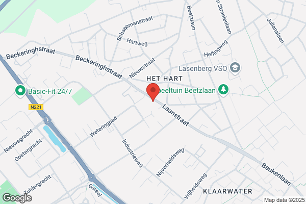 Looren De Jong