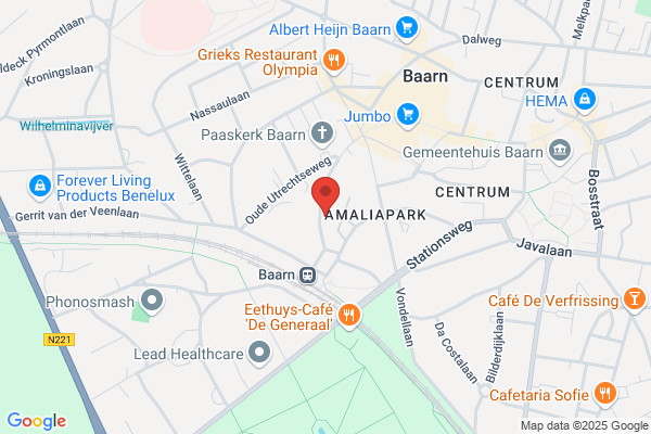 Radius Nederland Bv