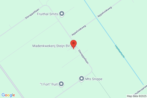 Steijn Bv, Van