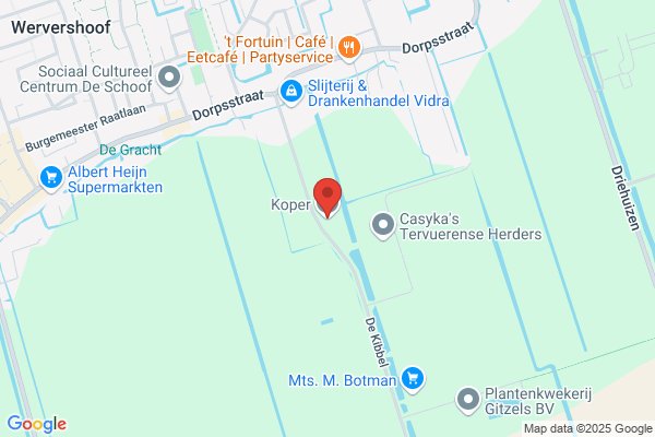 Koper En Zonen