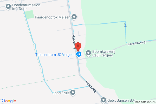Koenen Cons