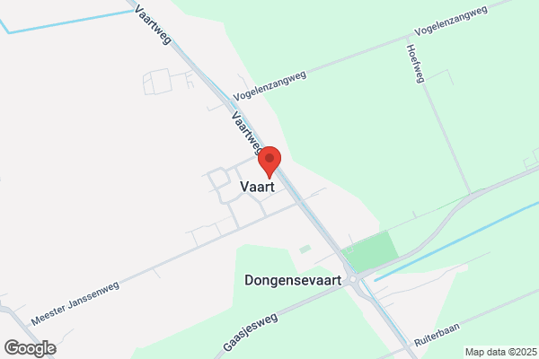 Management Service Dr. Rijk Bv