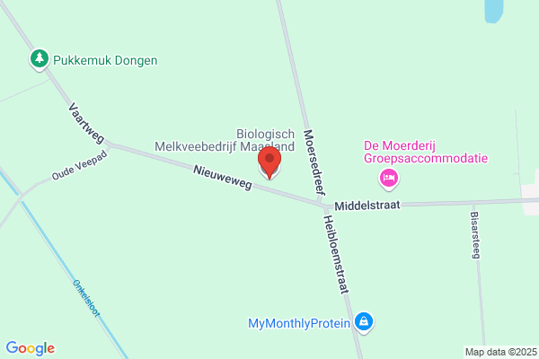 Melkkoe Bv